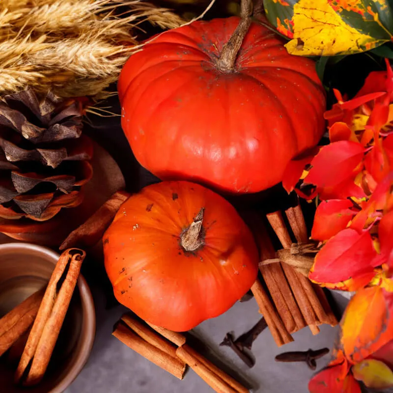 Cozy Autumn Bliss: Pumpkin Spice Candle