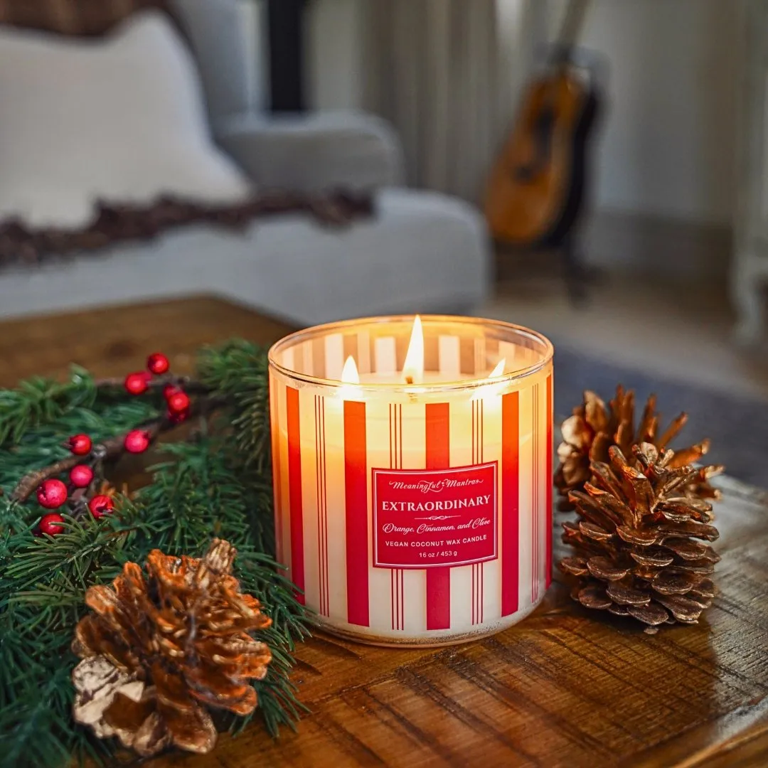 Festive 3-Wick Orange, Cinnamon, & Clove 16oz Candle