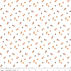 Seasonal Basics Pumpkins White Yardage by Christopher Thompson | Riley Blake Designs